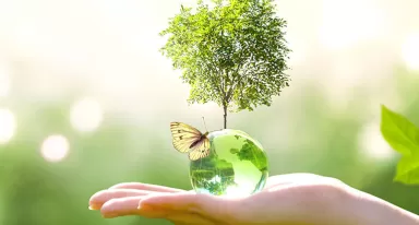 Eco origin / Green origin