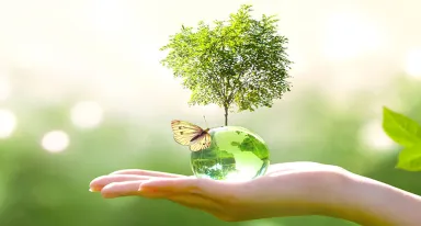 Eco origin / Green origin